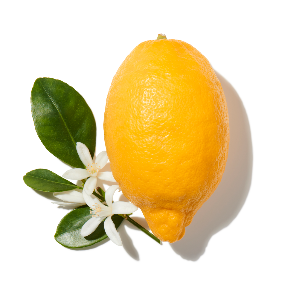 Bergamot