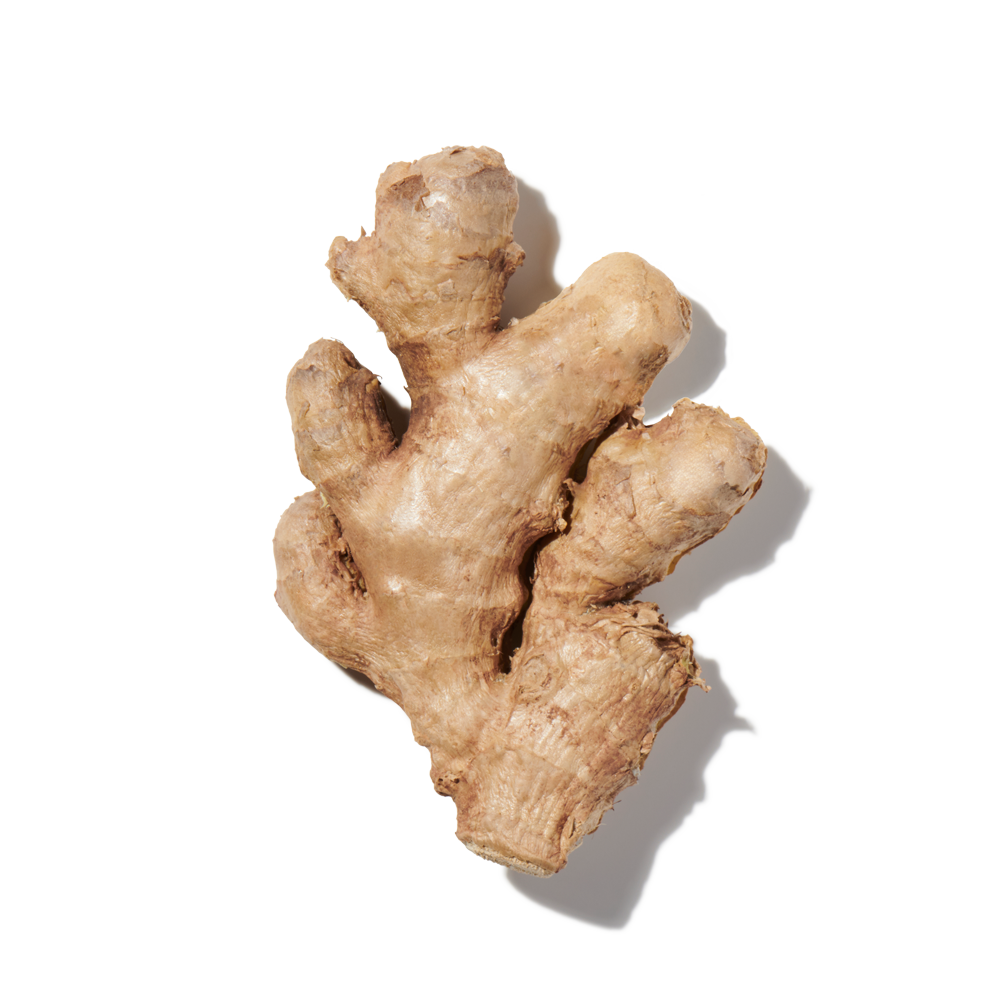 Ginger