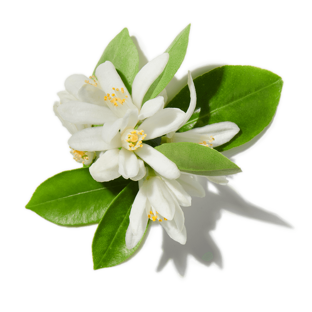 Neroli