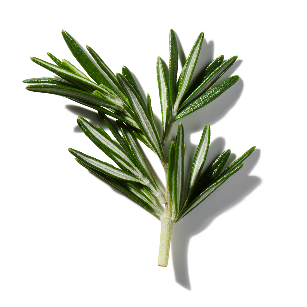 Rosemary